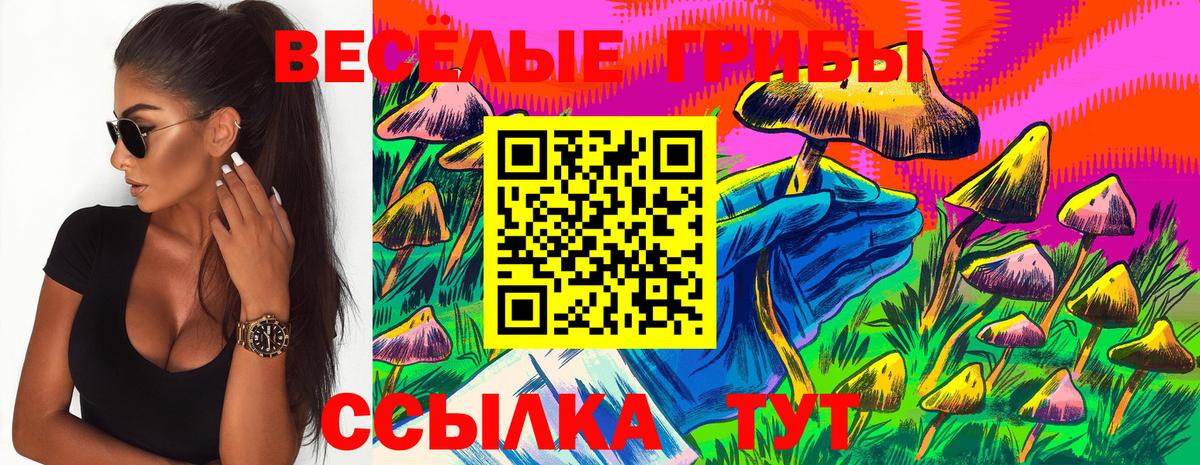Галлюциногенные грибы Psilocybe Краснокаменск